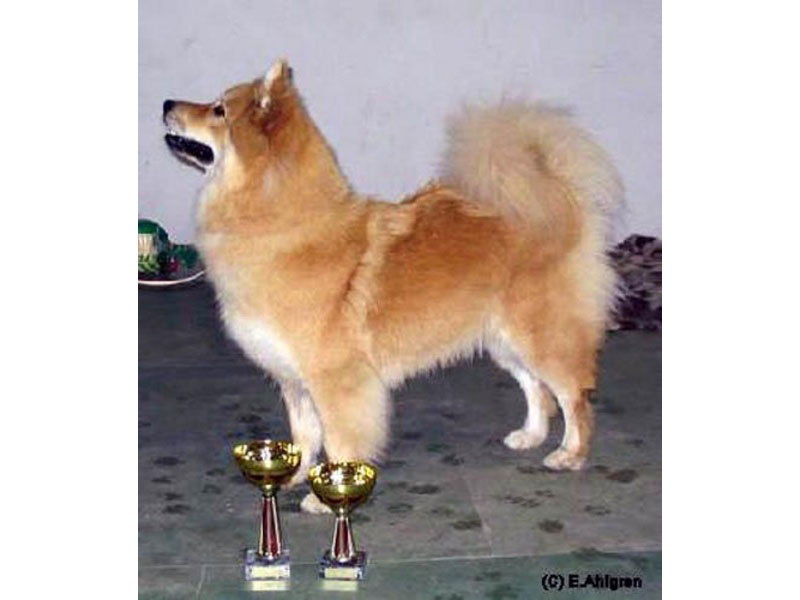 Siirry kuvagalleriaan