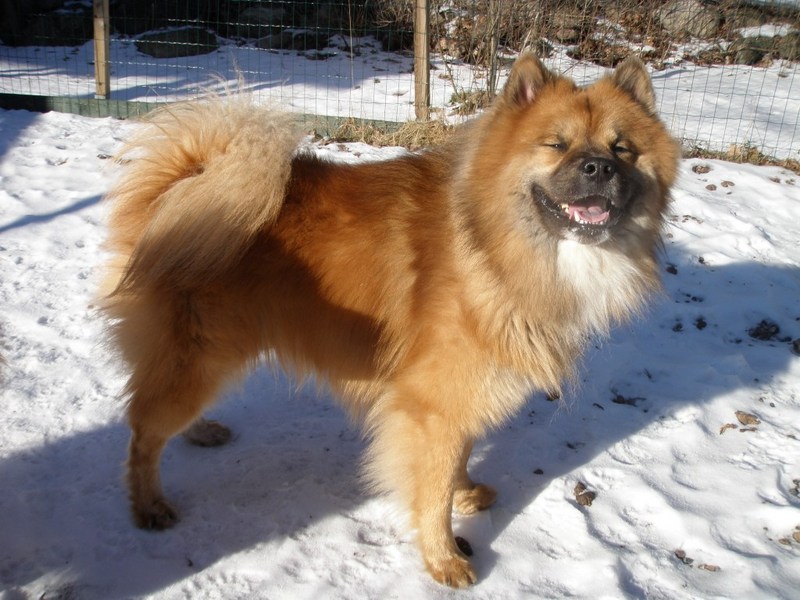 Siirry kuvagalleriaan