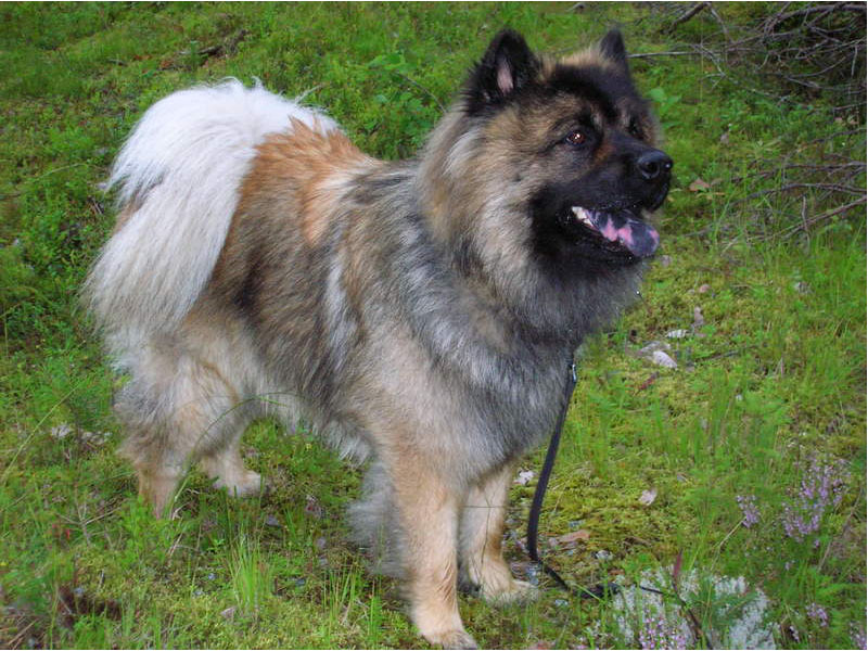 Siirry kuvagalleriaan