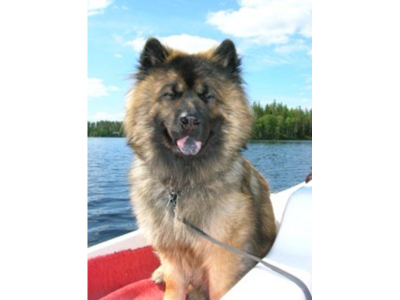 Siirry kuvagalleriaan