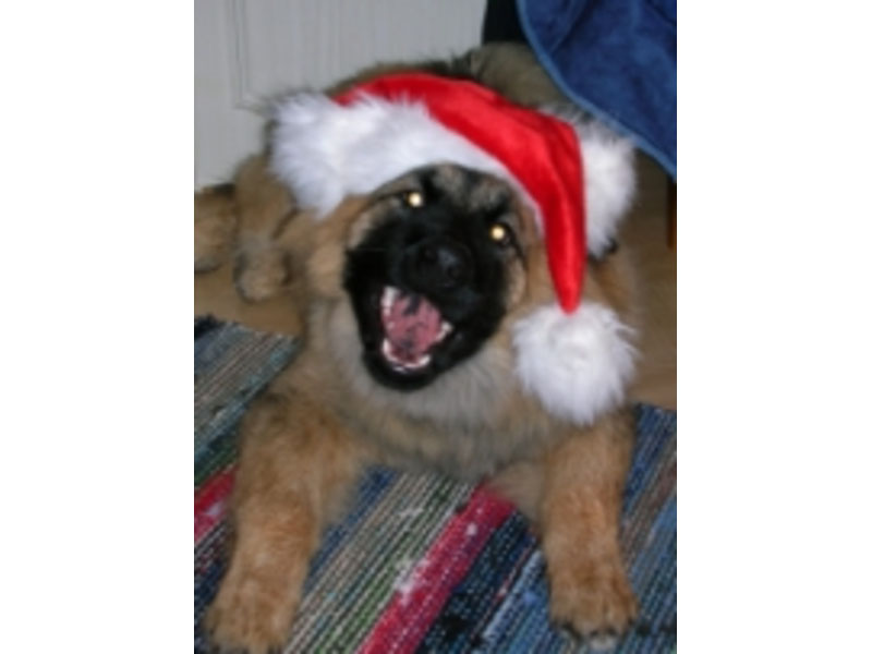 Siirry kuvagalleriaan