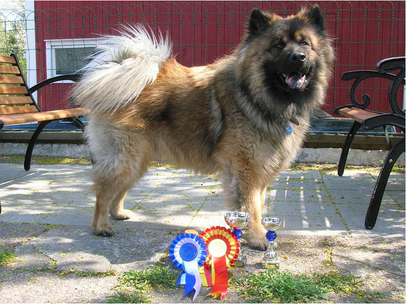 Siirry kuvagalleriaan