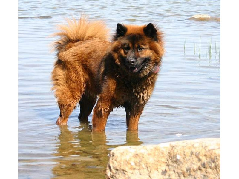 Siirry kuvagalleriaan