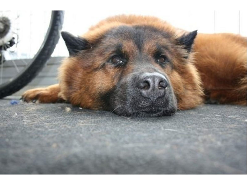 Siirry kuvagalleriaan