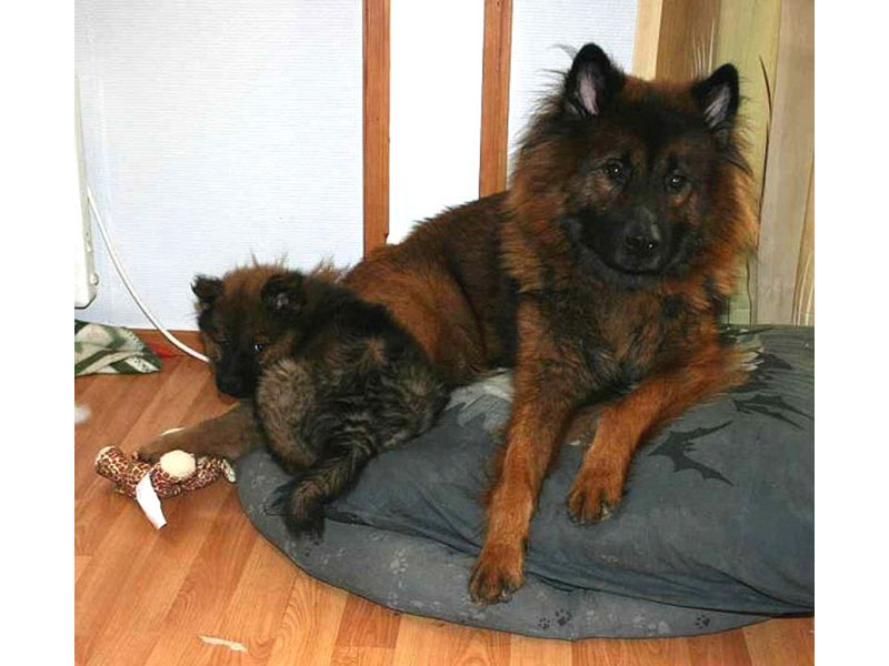 Siirry kuvagalleriaan