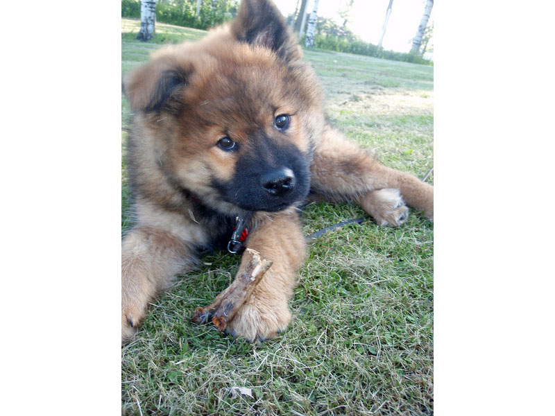 Siirry kuvagalleriaan