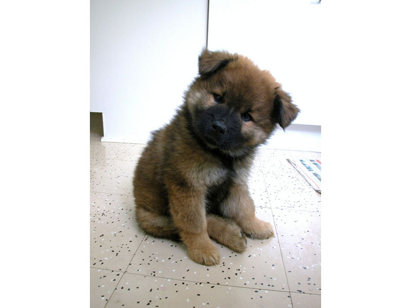 Siirry kuvagalleriaan