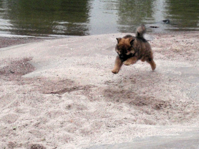 Siirry kuvagalleriaan