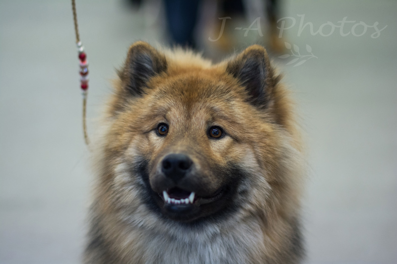 Siirry kuvagalleriaan