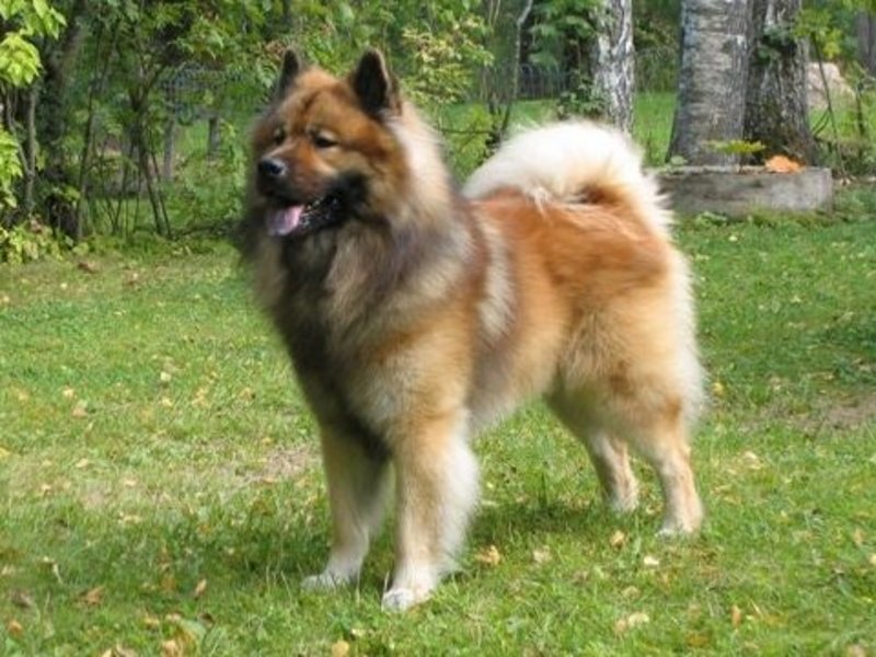 Siirry kuvagalleriaan