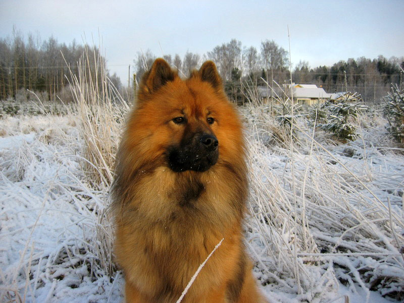 Siirry kuvagalleriaan