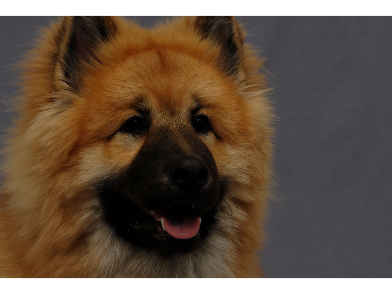 Siirry kuvagalleriaan