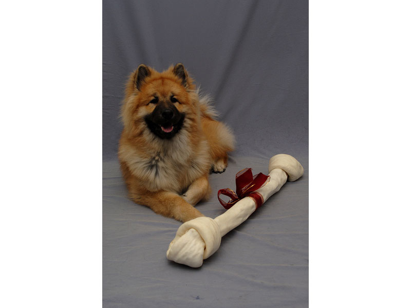 Siirry kuvagalleriaan