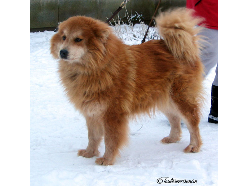 Siirry kuvagalleriaan