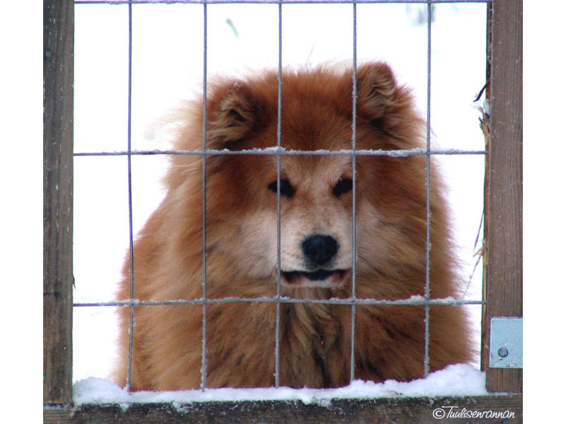 Siirry kuvagalleriaan