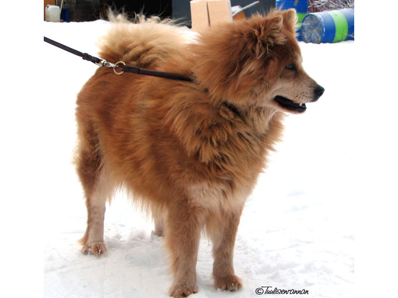 Siirry kuvagalleriaan