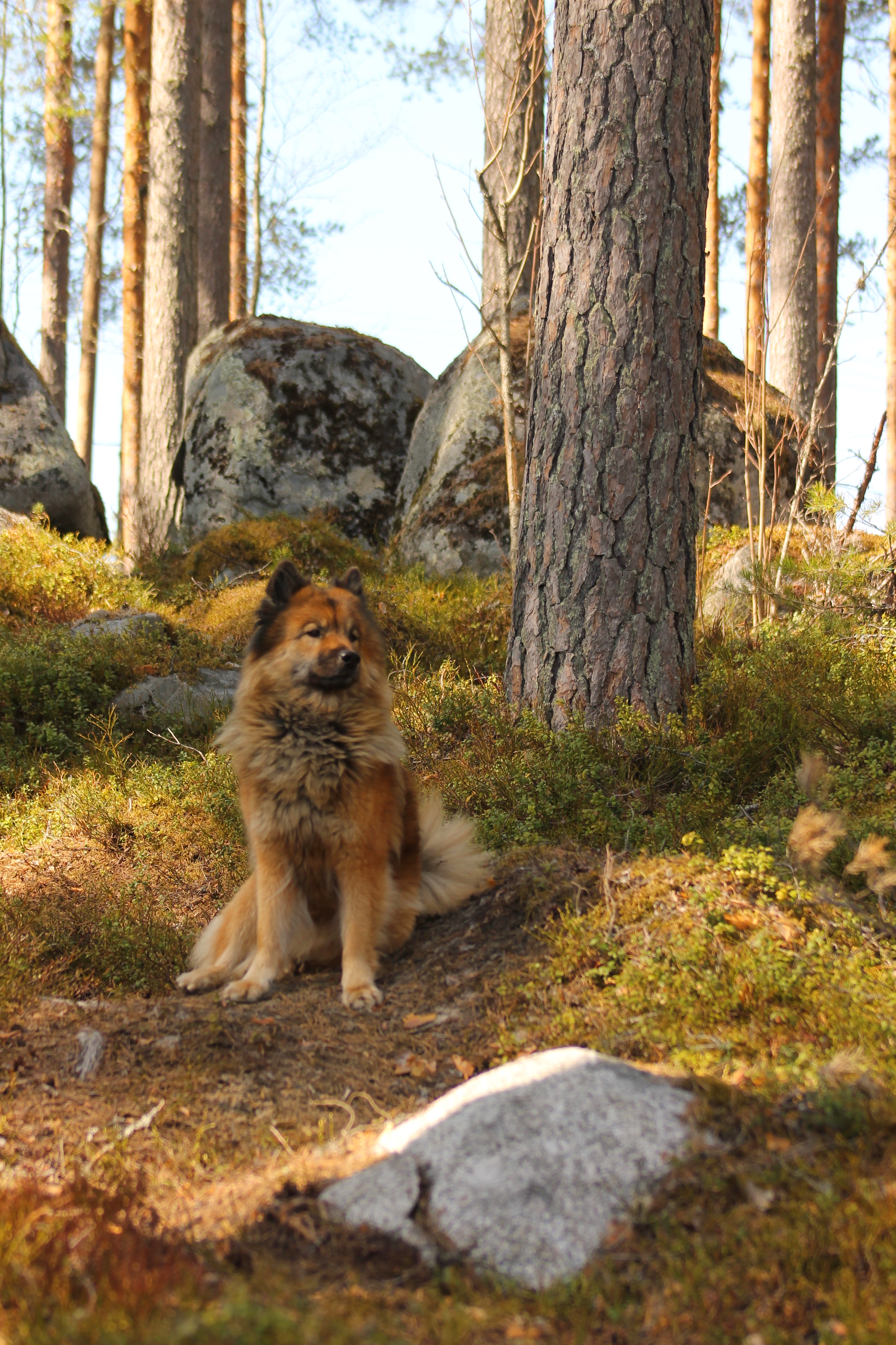 Siirry kuvagalleriaan