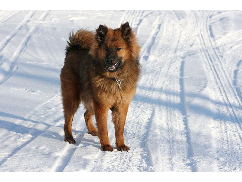 Siirry kuvagalleriaan