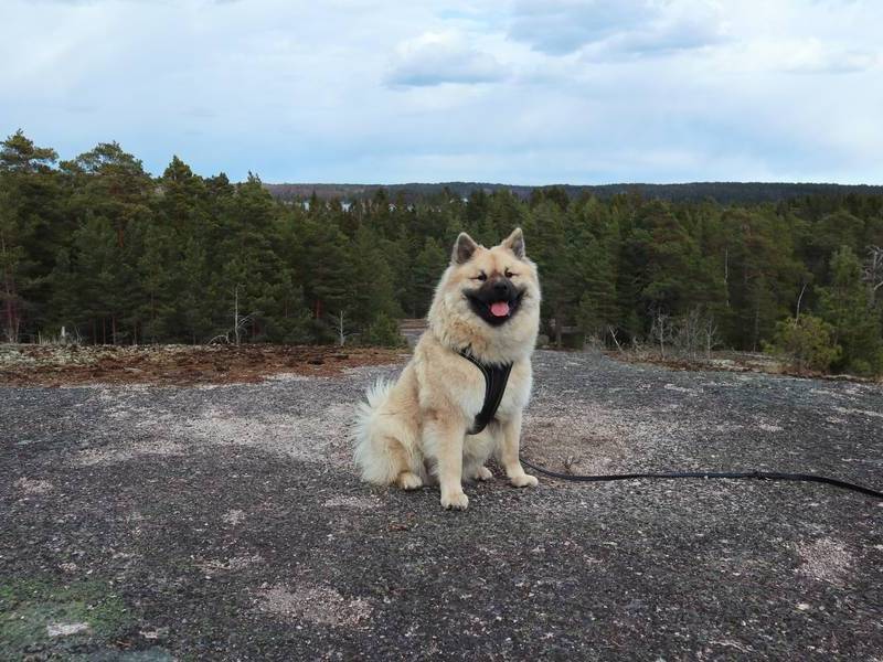 Siirry kuvagalleriaan