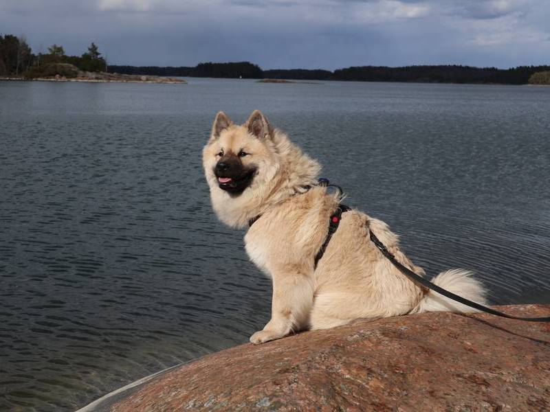 Siirry kuvagalleriaan