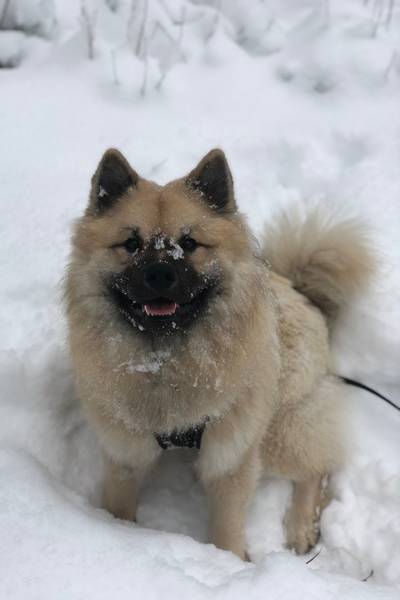 Siirry kuvagalleriaan