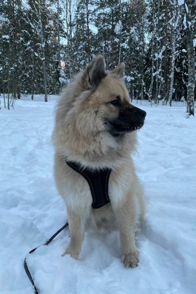 Siirry kuvagalleriaan