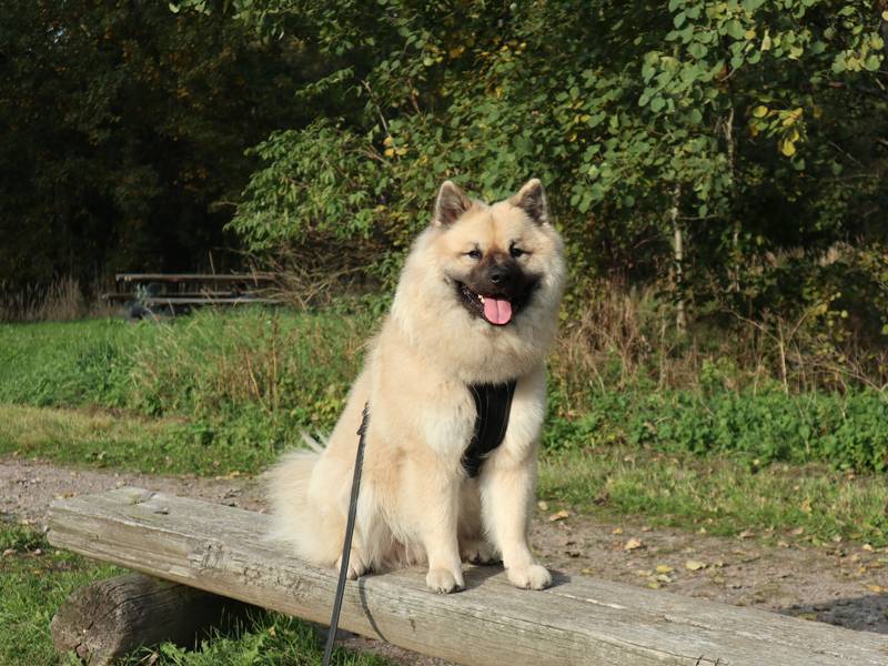 Siirry kuvagalleriaan