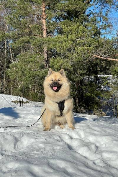 Siirry kuvagalleriaan