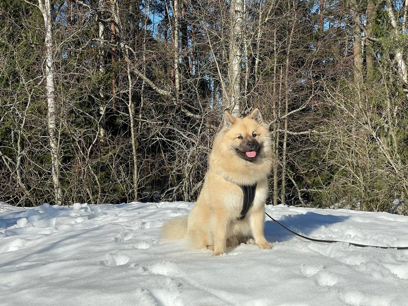 Siirry kuvagalleriaan