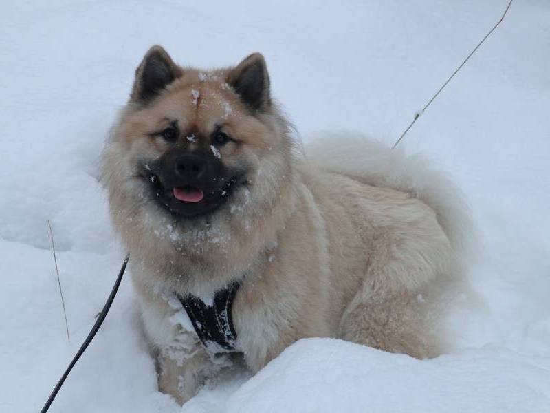 Siirry kuvagalleriaan