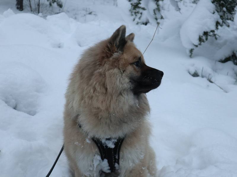 Siirry kuvagalleriaan