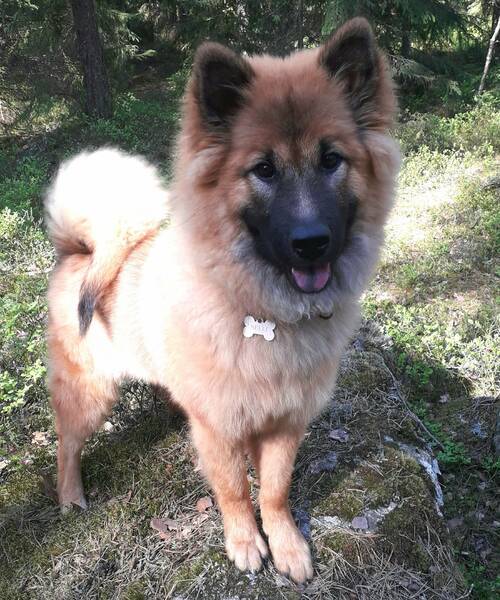 Siirry kuvagalleriaan