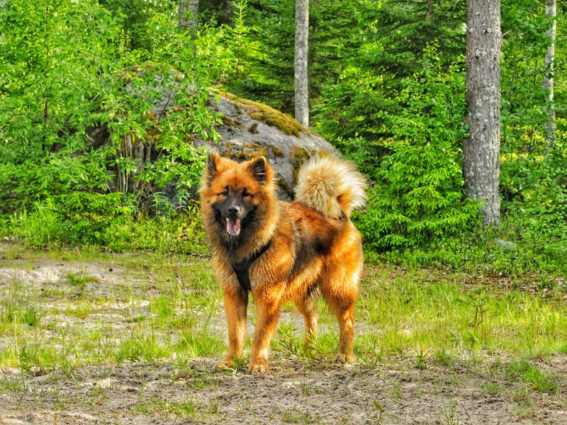 Siirry kuvagalleriaan