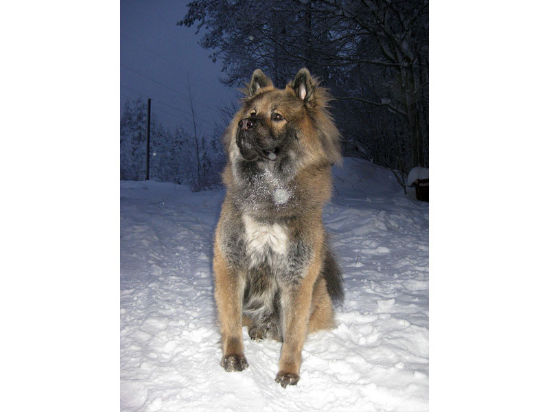 Siirry kuvagalleriaan