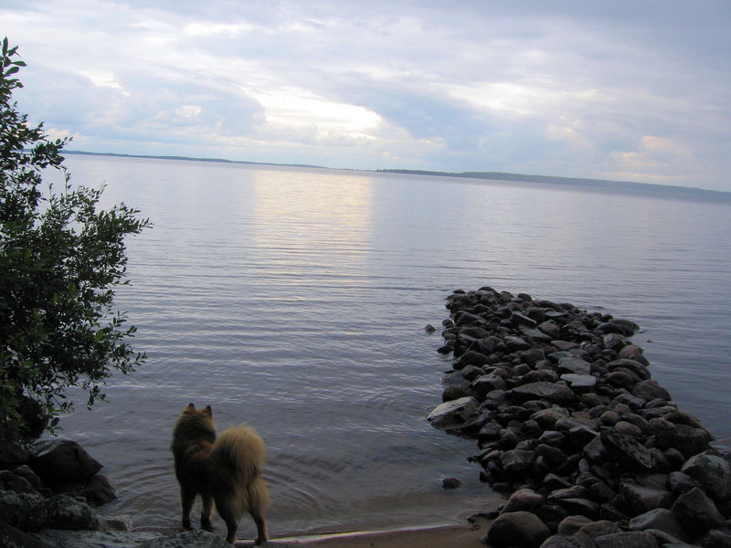 Siirry kuvagalleriaan