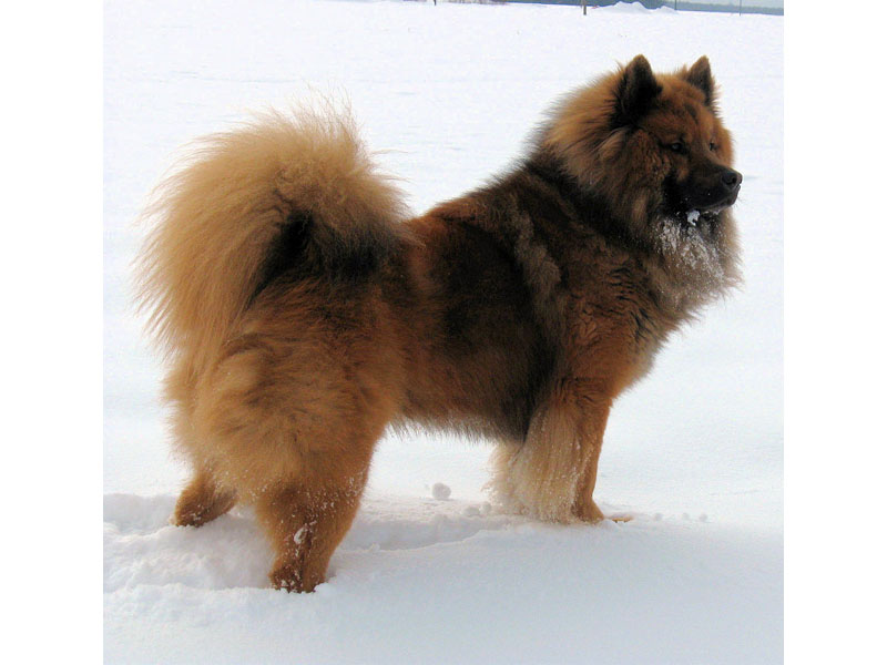 Siirry kuvagalleriaan