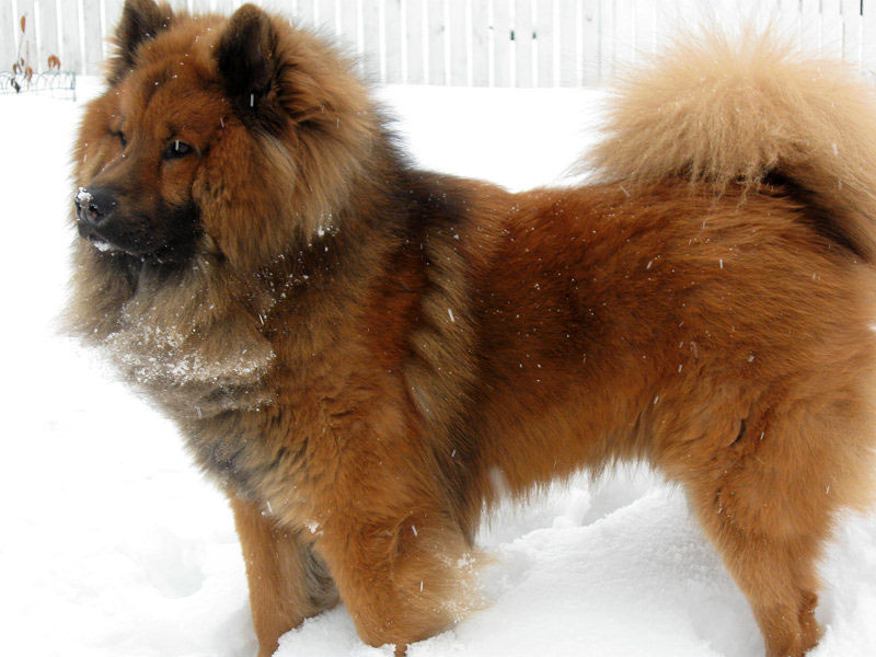 Siirry kuvagalleriaan