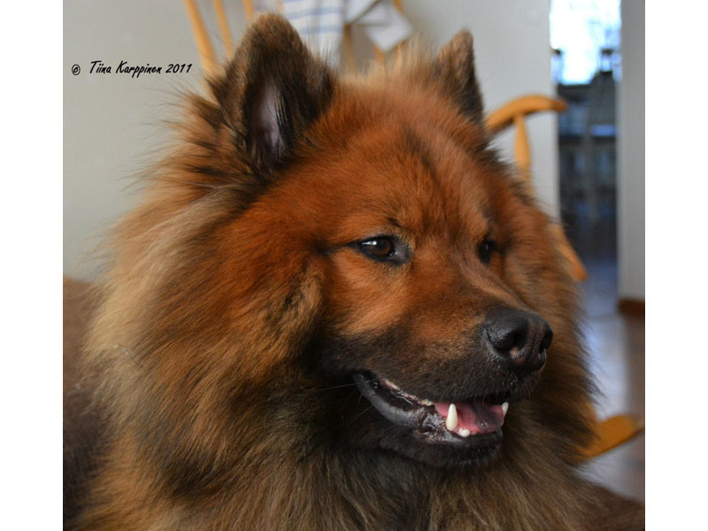 Siirry kuvagalleriaan