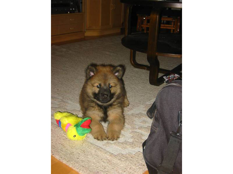 Siirry kuvagalleriaan