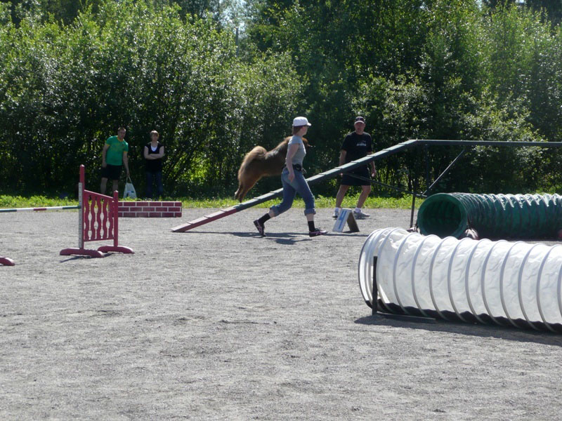 Siirry kuvagalleriaan