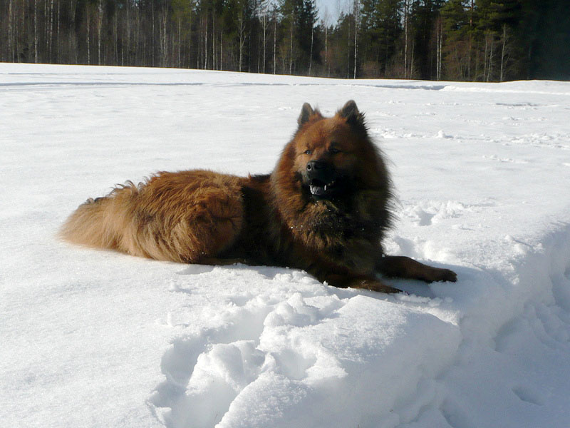 Siirry kuvagalleriaan