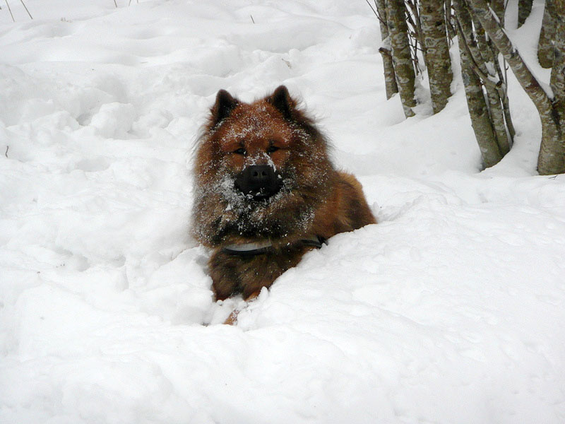 Siirry kuvagalleriaan