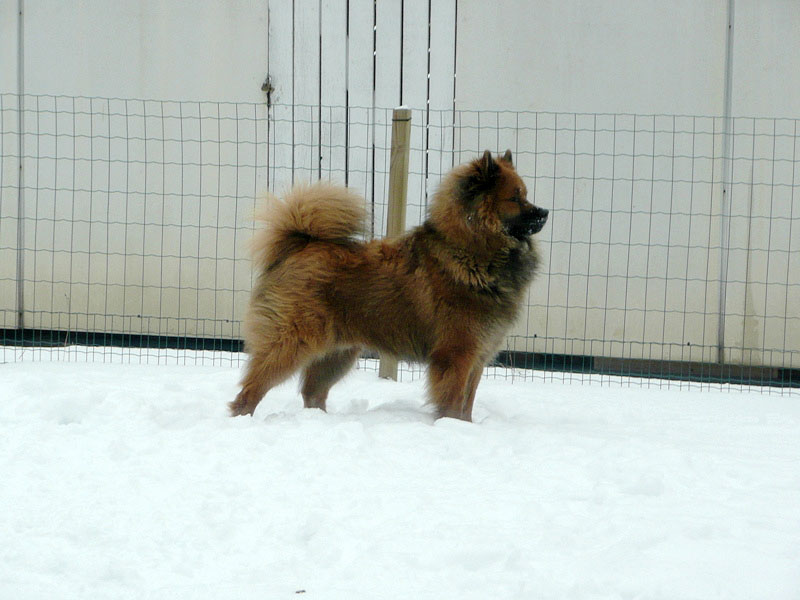 Siirry kuvagalleriaan