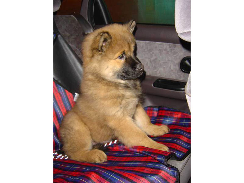 Siirry kuvagalleriaan