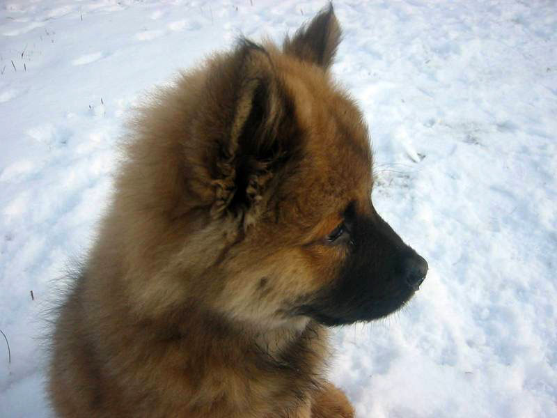 Siirry kuvagalleriaan