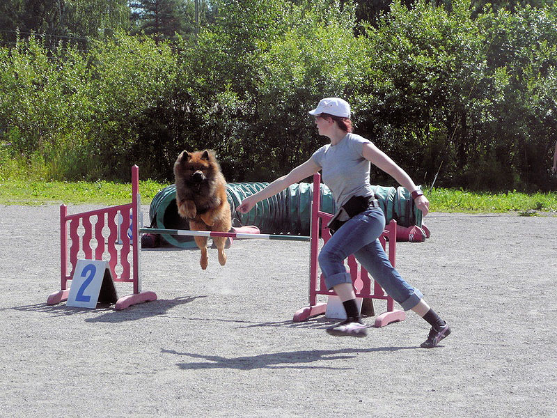 Siirry kuvagalleriaan