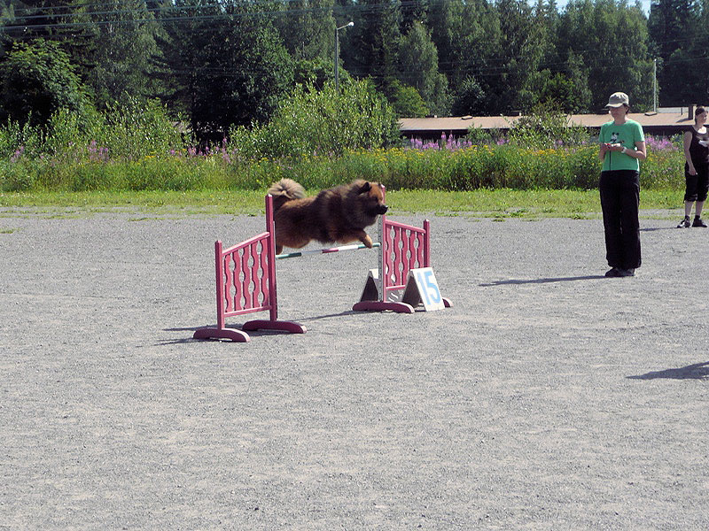 Siirry kuvagalleriaan