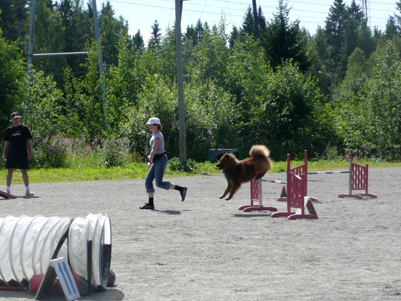 Siirry kuvagalleriaan