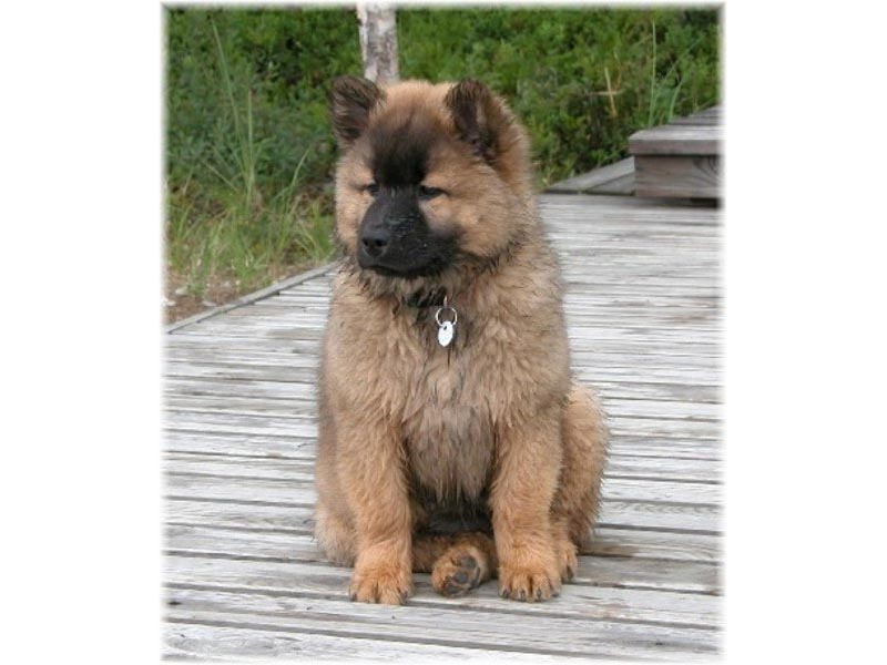 Siirry kuvagalleriaan