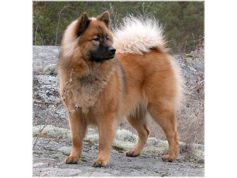 Siirry kuvagalleriaan